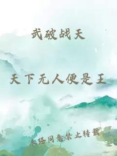 武破战天