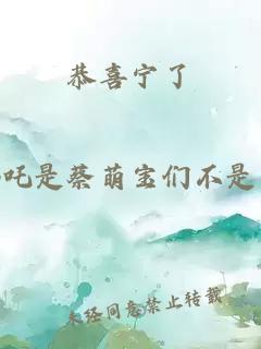 恭喜宁了