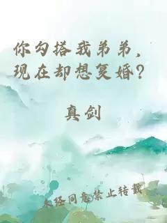 你勾搭我弟弟，现在却想复婚？