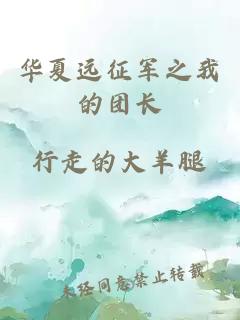 华夏远征军之我的团长