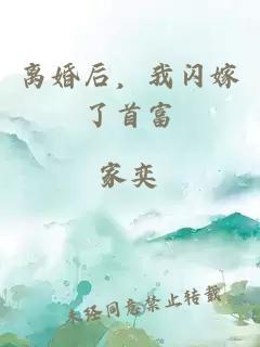 离婚后，我闪嫁了首富