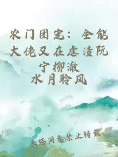 农门团宠：全能大佬又在虐渣阮宁柳澈