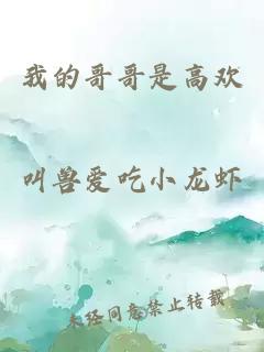 我的哥哥是高欢