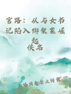 官路：从与女书记陷入绑架案崛起