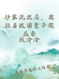 抄家流放后，我拉着敌国皇子假成亲