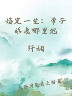 婚定一生：带子娇妻哪里跑