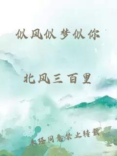 似风似梦似你