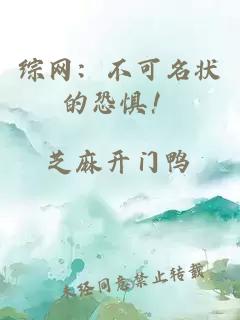 综网：不可名状的恐惧！