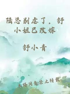 陆总别虐了，舒小姐已改嫁