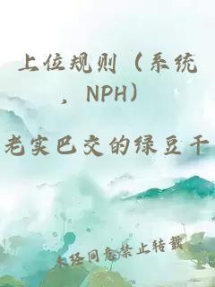 上位规则（系统，NPH）