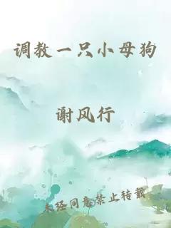 调教一只小母狗