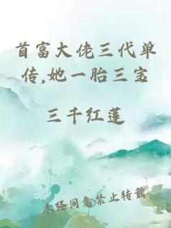 首富大佬三代单传,她一胎三宝