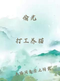 偷光