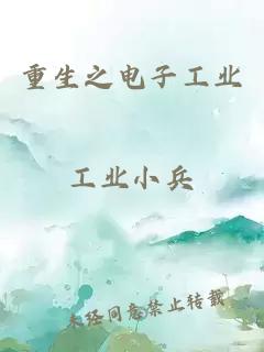 重生之电子工业