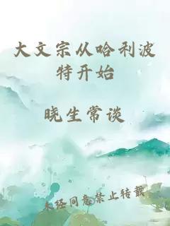大文宗从哈利波特开始