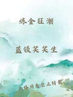 炼金狂潮