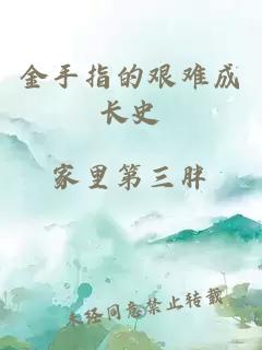 金手指的艰难成长史