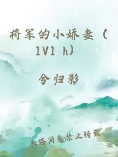 将军的小娇妻（1V1 h）