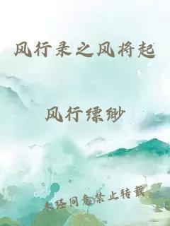风行录之风将起