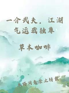 一介武夫，江湖气运我独尊