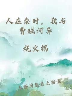 人在秦时，我与曹贼何异