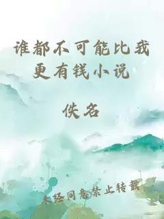 谁都不可能比我更有钱小说